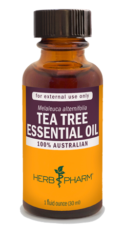 TEA TREE ESSENTIAL OIL 1 fl oz.