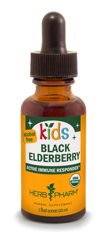 KIDS BLACK ELDERBERRY ALCOHOL FREE 1 fl oz.