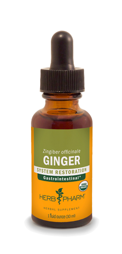 GINGER 1 fl oz.