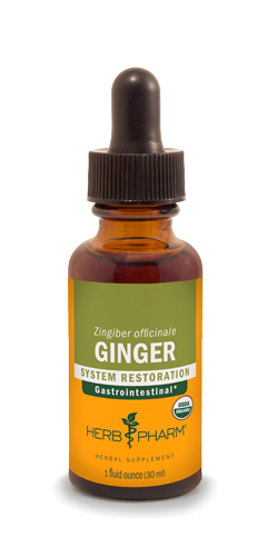 GINGER 1 fl oz.