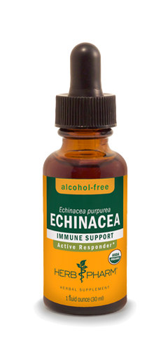 ECHINACEA ALCOHOL FREE 1 fl oz.