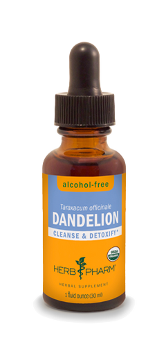 DANDELION ALCOHOL FREE 1 fl oz.