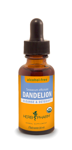 DANDELION ALCOHOL FREE 1 fl oz.