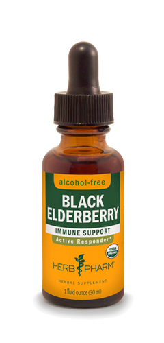 BLACK ELDERBERRY ALCOHOL FREE 1 fl oz.