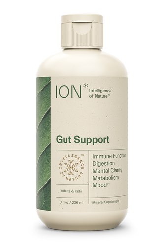 ION* Gut Support 8 fl oz.