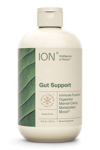 ION* Gut Support 16 fl oz.