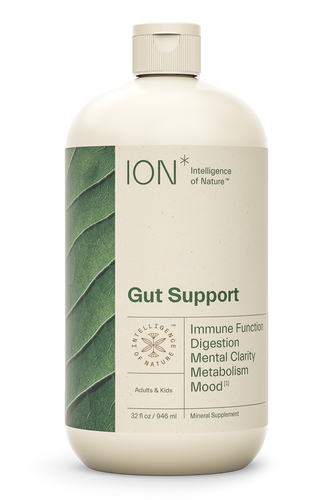 ION* Gut Support 32 fl oz.